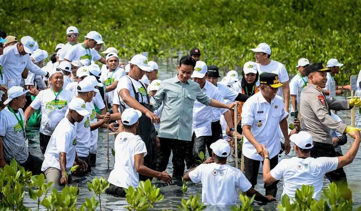 Kondisi-Ekosistem-Bakau-Nasional
