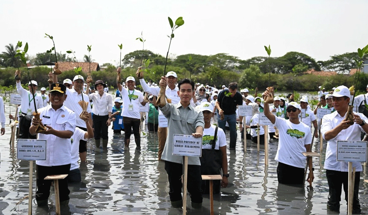 Wapres-Gibran-Tanam-Bibit-Bakau-Dukung-Pemulihan-Pesisir-Banten