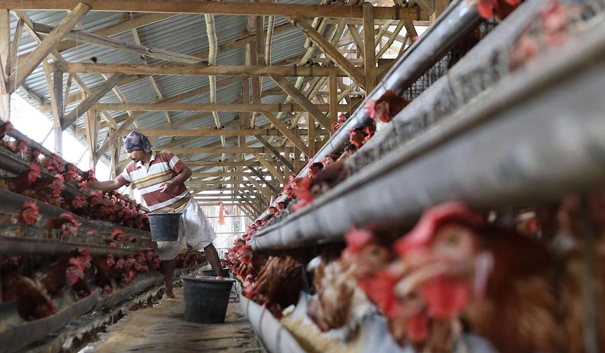 Target-Produksi-Sesuai-Kebutuhan-Wilayah