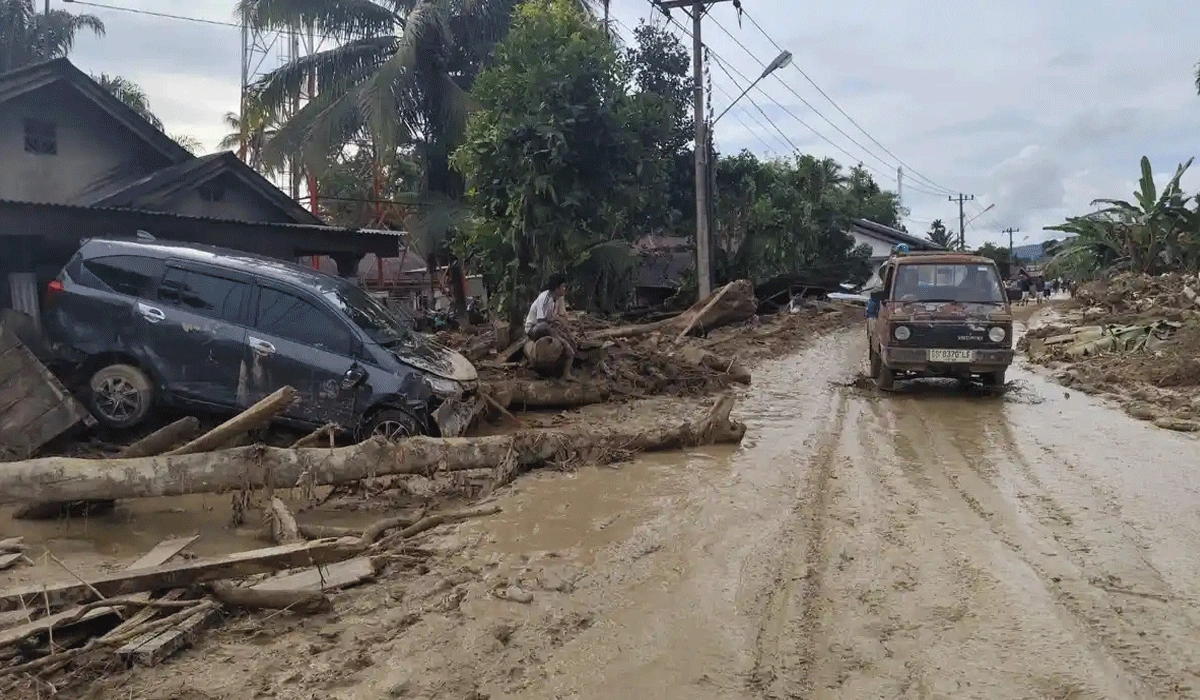 Bupati Gus Irawan Akui Penebangan Liar di Tapsel, Kemenhut Turun Tangan
